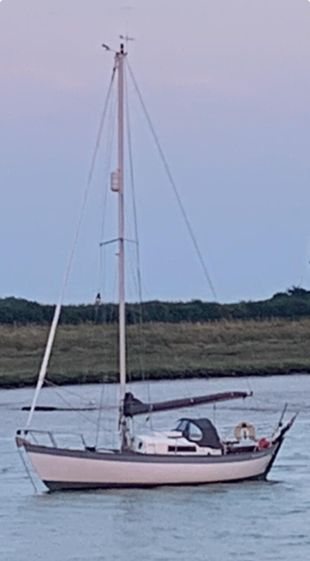 Lovely Frances 26