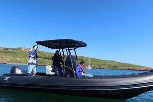 Tiger Proline 740 w/ exclusive Suzuki 250HP Stealth Lin