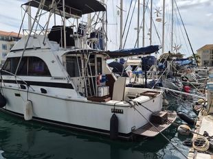 1984 Bertram 33 Flybridge Cruiser