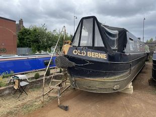 LW1079 OLD BERNIE 