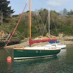 Superb Cornish Shrimper 19