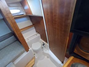 13 Head   2017 Cutwater 242 Sport Coupe (1)