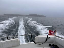 Re-engined Fairline 21 Weekend