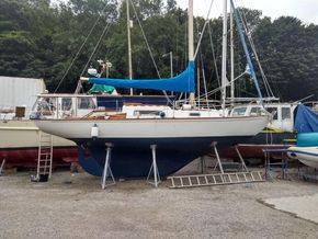  new rudder fitted 2022