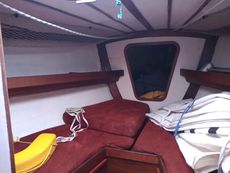 Carter 39 Olympic Yachts
