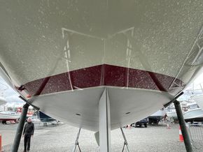 IMG 4163