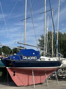 Contessa 26. Galadriel of Lothlorian.