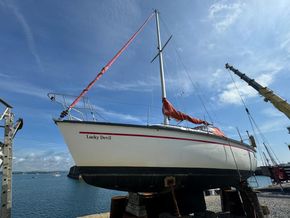 1981 dufour 2800 sail 9449842 20240717083301429 1 XLARGE