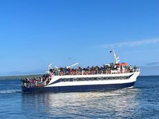 250 DAY PAX FERRY TOUR BOAT FOR SALE