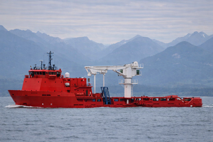 2001 | DP2 MPSV | 36 MT AHC knuckle-boom subsea crane | For P&C Sale