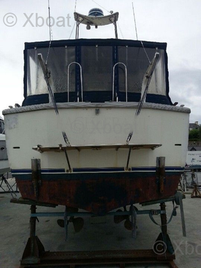 PRINCESS 37