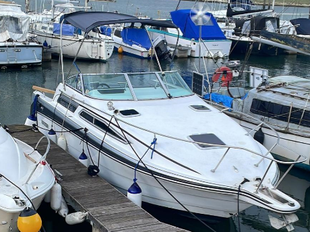 2002 Rinker Mercruiser 4.3L V6