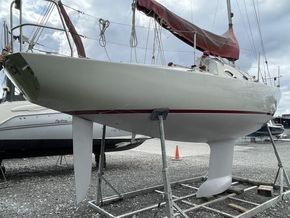 IMG 4158