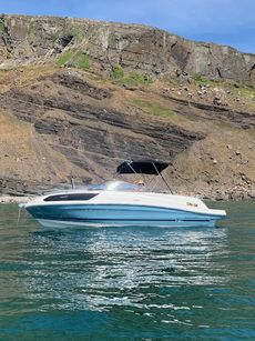 Bayliner