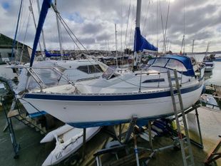 1982 Moody 29
