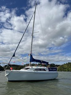 Hunter Ranger 245