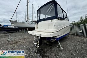 Rinker-Fiesta-Vee-250-ladder