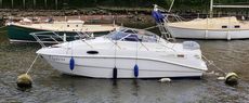 Sealine S23