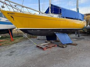 Ashore 2024 - antifoul prep