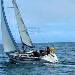 1980 Colvic Liberator 35