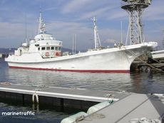 TUNA LONG LINER - RSW
