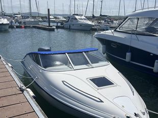Campion Allante 565