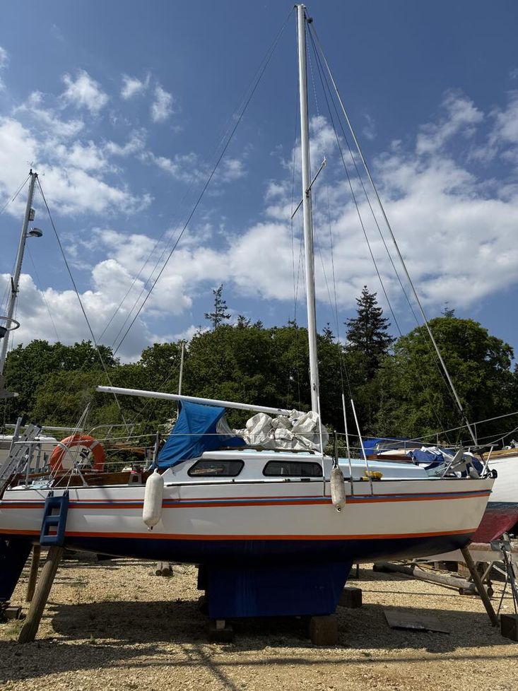 Kestrel 24