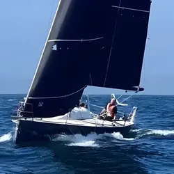 1996 ILC 30