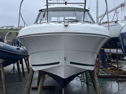 Merry Fisher 595