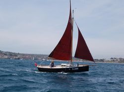 Cornish Shrimper 19  (inboard)