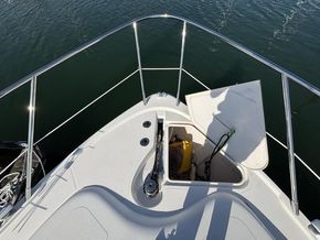 IMG 4549