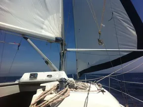 Hunter Legend 290