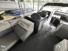 2022 Massimo Marine P23