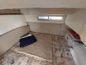 Bayliner 3055 Ciera  - Aft Cabin