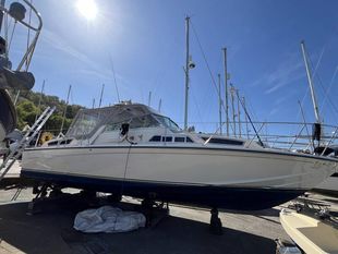 1977 Triana Tantarella