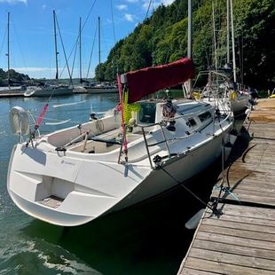 sunfast 32i