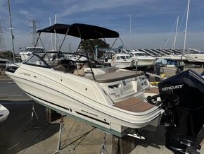 2019 Bayliner  VR6 Cuddy 9