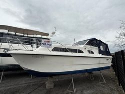 Shetland 27
