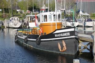 MAASVLAKTE