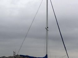 Invicta 26 "Peggy"