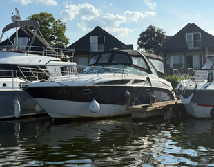 2010 Bayliner  335