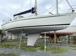 1984 Contessa 34