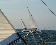 Wing 25 classic sailing yacht