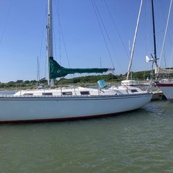 COLVIC VICTOR 35 - MERLUZA