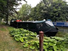 2021 Collingwood Wide Bean 65ftx12.5ft