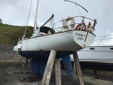 Cal 40