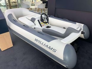 2022 Williams Minijet 280