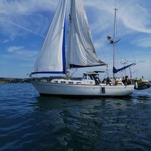 MOODY HALBERDIER 36 + River Dart Mooring