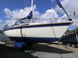 Westerly Tempest