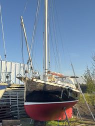 Tamarisk 29